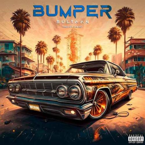 Bumper Sultaan mp3 song free download, Bumper Sultaan full album