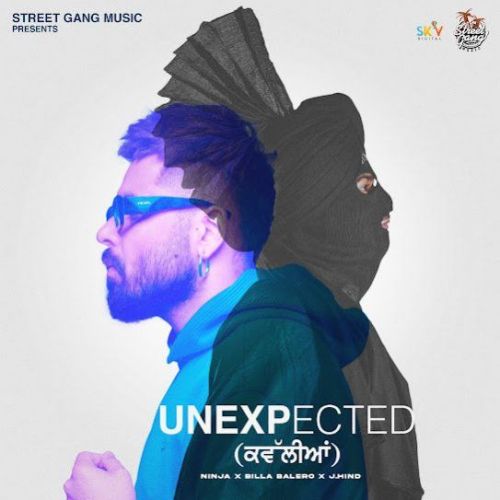 Unexpected Ninja mp3 song free download, Unexpected Ninja full album