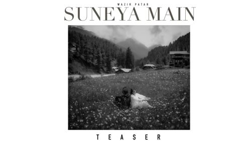 Suneya Main Wazir Patar mp3 song free download, Suneya Main Wazir Patar full album
