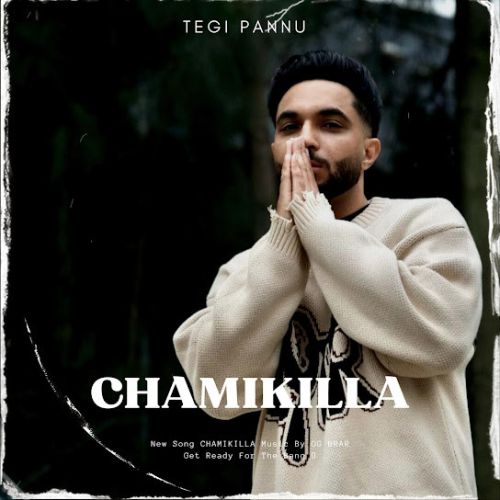 Chamikilla Tegi Pannu mp3 song free download, Chamikilla Tegi Pannu full album