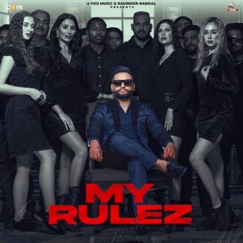 My Rulez DJ Flow mp3 song free download, My Rulez DJ Flow full album