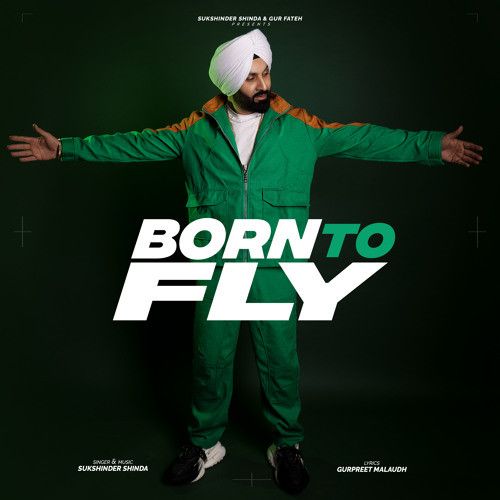 Born To Fly Sukshinder Shinda mp3 song free download, Born To Fly Sukshinder Shinda full album