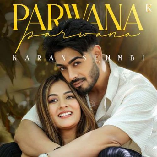 PARWANA Karan Sehmbi mp3 song free download, PARWANA Karan Sehmbi full album