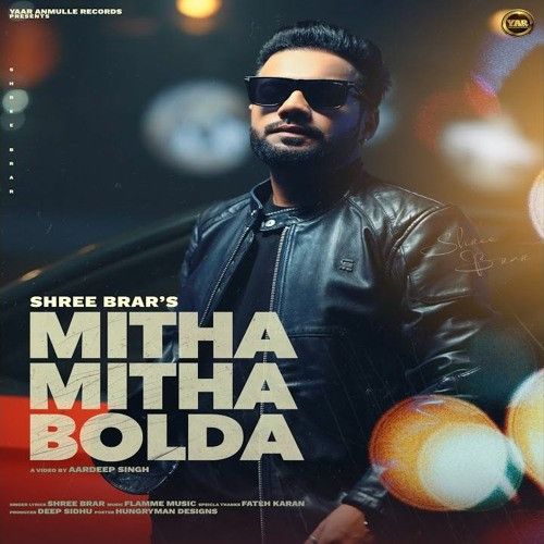 Mitha Mitha Bolda Shree Brar mp3 song free download, Mitha Mitha Bolda Shree Brar full album