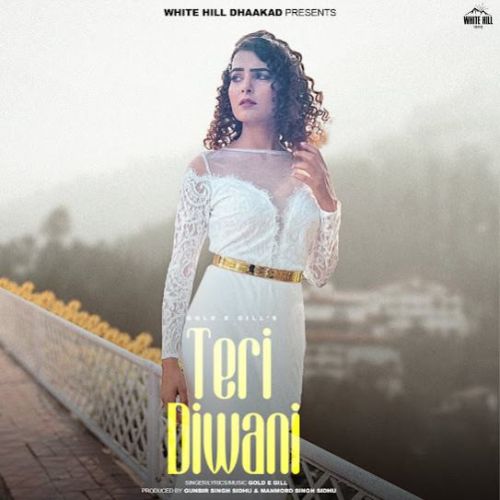 Teri Diwani Gold E Gill mp3 song free download, Teri Diwani Gold E Gill full album