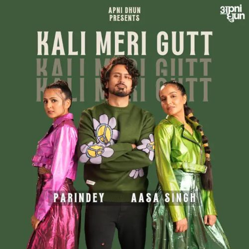 Kali Meri Gutt Parindey, Aasa Singh mp3 song free download, Kali Meri Gutt Parindey, Aasa Singh full album