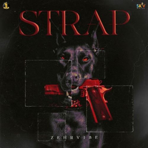 STRAP Zehr Vibe mp3 song free download, STRAP Zehr Vibe full album