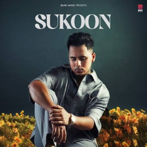 Sukoon Harvi mp3 song free download, Sukoon Harvi full album