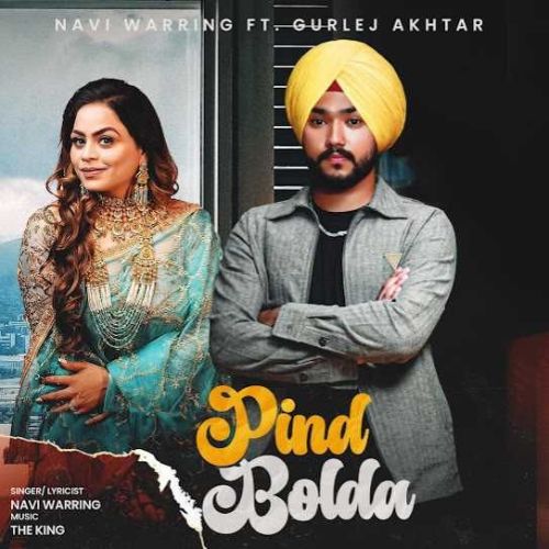 Pind Bolda Navi Warring mp3 song free download, Pind Bolda Navi Warring full album