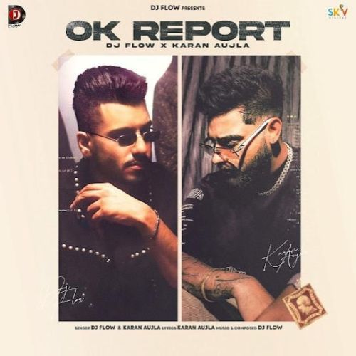 Ok Report DJ Flow mp3 song free download, Ok Report DJ Flow full album