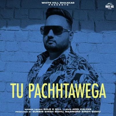 Tu Pachhtawega Gold E Gill mp3 song free download, Tu Pachhtawega Gold E Gill full album