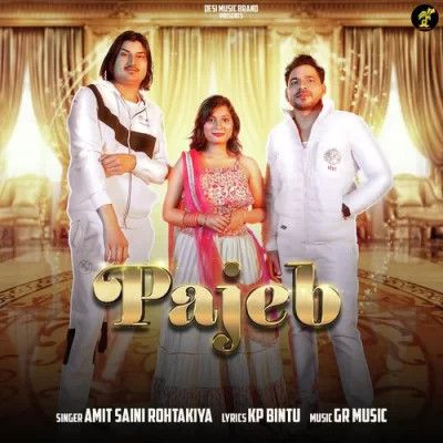 Pajeb Amit Saini Rohtakiya mp3 song free download, Pajeb Amit Saini Rohtakiya full album