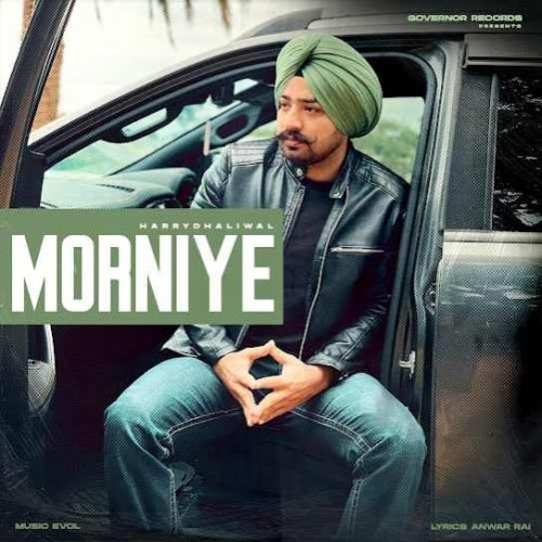 Morniye Harry Dhaliwal mp3 song free download, Morniye Harry Dhaliwal full album