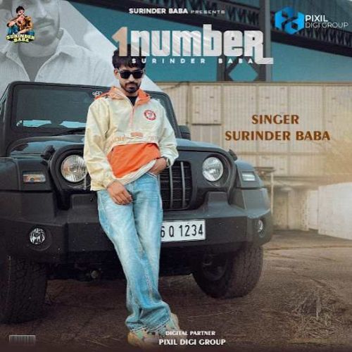 1 Number Surinder Baba mp3 song free download, 1 Number Surinder Baba full album