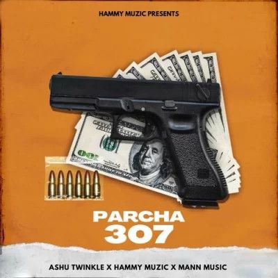 Parcha 307 Hammy Muzic, Ashu Twinkle mp3 song free download, Parcha 307 Hammy Muzic, Ashu Twinkle full album