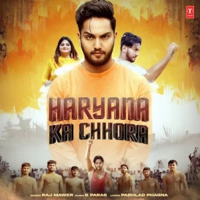 Haryana Ka Chhora Raj Mawer mp3 song free download, Haryana Ka Chhora Raj Mawer full album