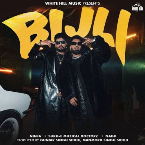 Bijli Ninja mp3 song free download, Bijli Ninja full album