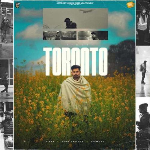 Toronto Tiger mp3 song free download, Toronto Tiger full album