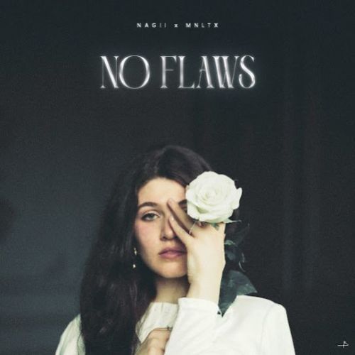 No Flaws Nagii mp3 song free download, No Flaws Nagii full album
