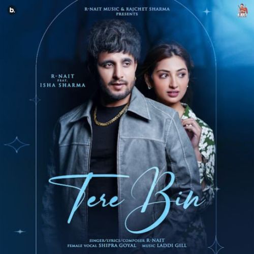 Tere Bin R. Nait mp3 song free download, Tere Bin R. Nait full album