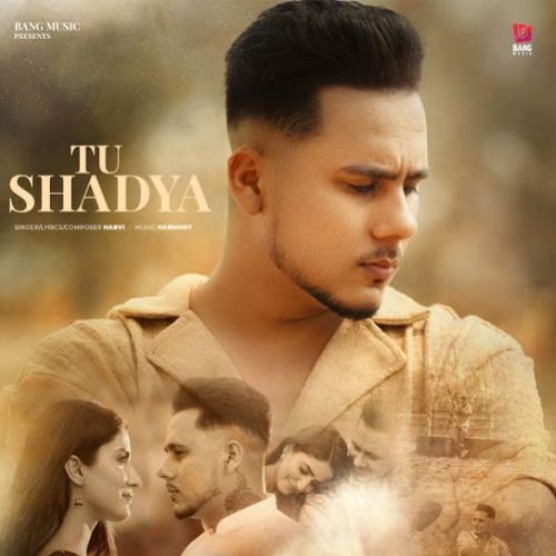 Tu Shadya Harvi mp3 song free download, Tu Shadya Harvi full album