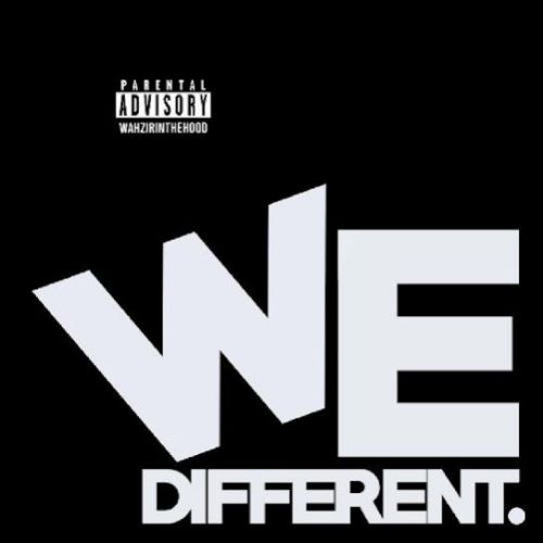 We Different Wazir Patar mp3 song free download, We Different Wazir Patar full album