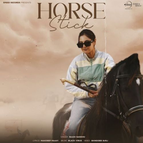 Horse Stick Baani Sandhu mp3 song free download, Horse Stick Baani Sandhu full album