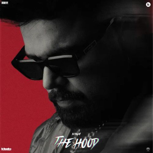 Dil Ninja mp3 song free download, The Hood Ninja full album