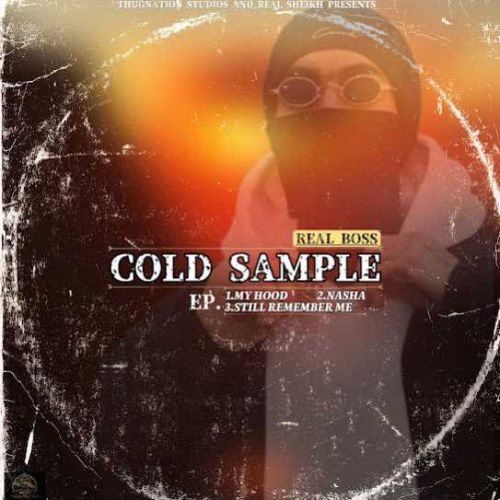 COLD SAMPLE By Real Boss full mp3 album downlad