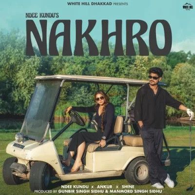 Nakhro Ndee Kundu mp3 song free download, Nakhro Ndee Kundu full album