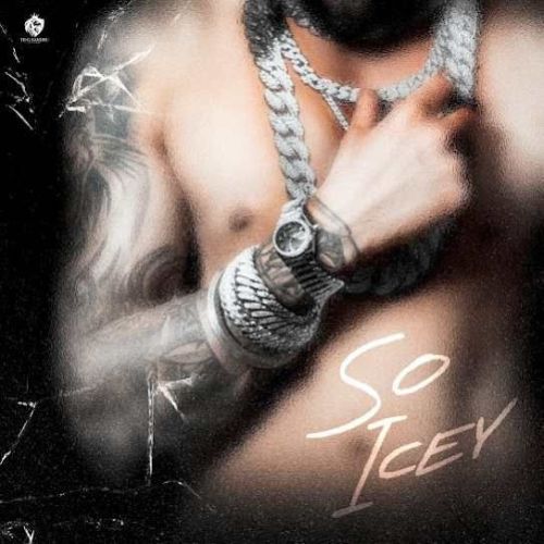 SO ICEY Te-G Sandhu mp3 song free download, SO ICEY Te-G Sandhu full album