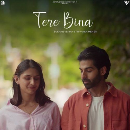 Tere Bina Sukhan Verma mp3 song free download, Tere Bina Sukhan Verma full album