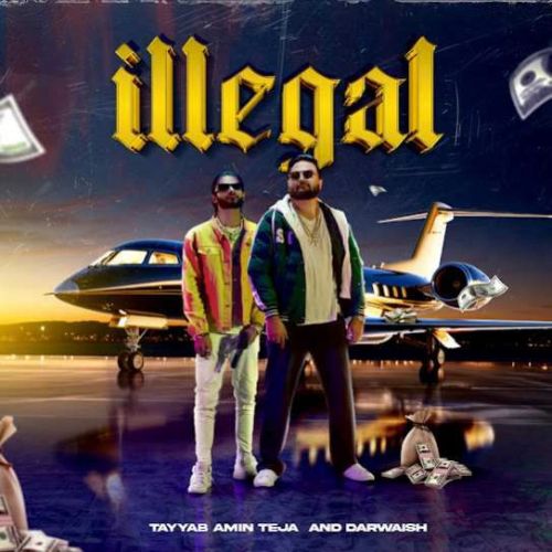 Illegal Tayyab Amin Teja mp3 song free download, Illegal Tayyab Amin Teja full album