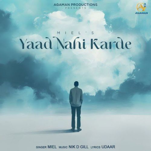 Yaad Nahi Karde Miel mp3 song free download, Yaad Nahi Karde Miel full album