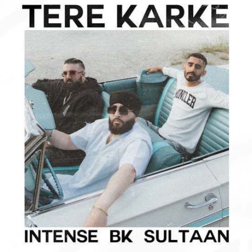 Tere Karke BK, Sultaan mp3 song free download, Tere Karke BK, Sultaan full album