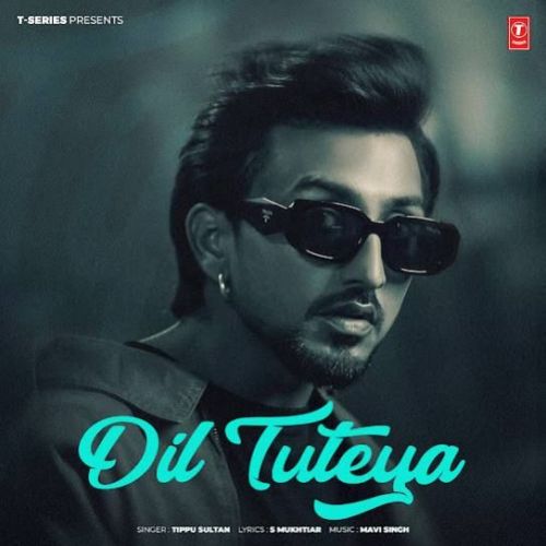 Dil Tuteya Tippu Sultan mp3 song free download, Dil Tuteya Tippu Sultan full album