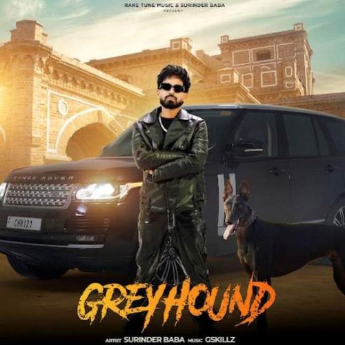 Greyhound Surinder Baba mp3 song free download, Greyhound Surinder Baba full album