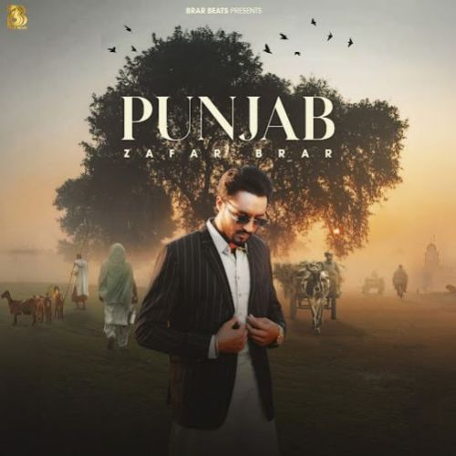 Punjab Zafar Brar mp3 song free download, Punjab Zafar Brar full album