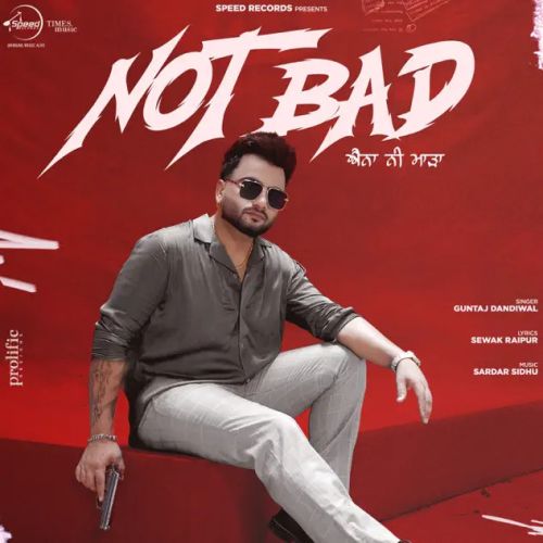 Not Bad Guntaj Dandiwal mp3 song free download, Not Bad Guntaj Dandiwal full album