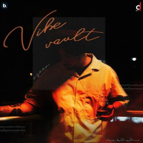 Vibe Vault By Vseer full mp3 album downlad