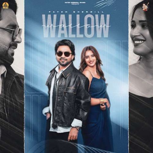 Wallow Fateh Shergill mp3 song free download, Wallow Fateh Shergill full album