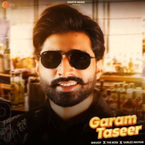 Garam Taseer Shivjot mp3 song free download, Garam Taseer Shivjot full album