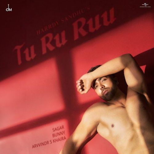 Tu Ru Ruu Harrdy Sandhu mp3 song free download, Tu Ru Ruu Harrdy Sandhu full album