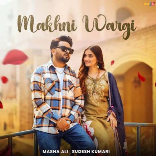 Makhni Wargi Masha Ali mp3 song free download, Makhni Wargi Masha Ali full album