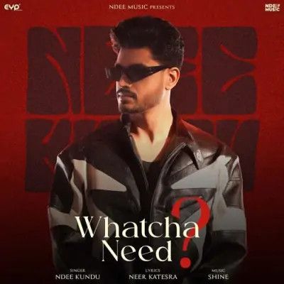 Whatcha Need Ndee Kundu mp3 song free download, Whatcha Need Ndee Kundu full album