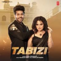 Tabizi Shiva Choudhary mp3 song free download, Tabizi Shiva Choudhary full album