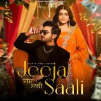 Jeeja Saali Jigar mp3 song free download, Jeeja Saali Jigar full album