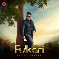 Fulkari Raju Punjabi mp3 song free download, Fulkari Raju Punjabi full album