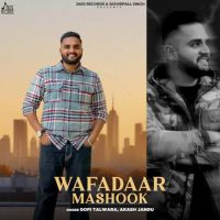 Wafadaar Mashook Gopi Talwara mp3 song free download, Wafadaar Mashook Gopi Talwara full album