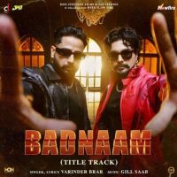 Badnaam Varinder Brar mp3 song free download, Badnaam Varinder Brar full album